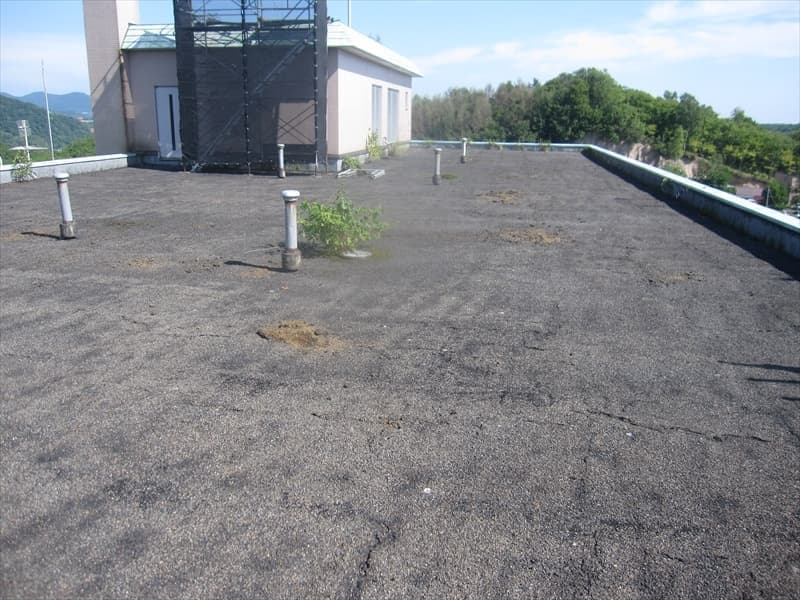 img20210918143949563277.jpg