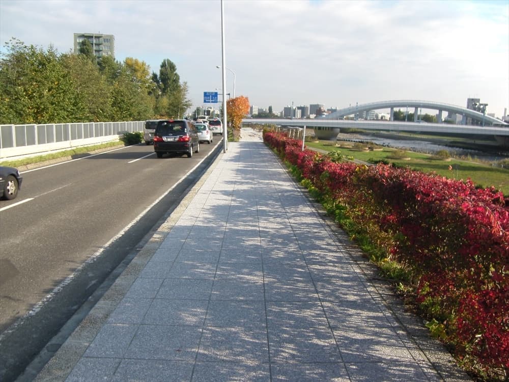 rimg0054_r.jpg