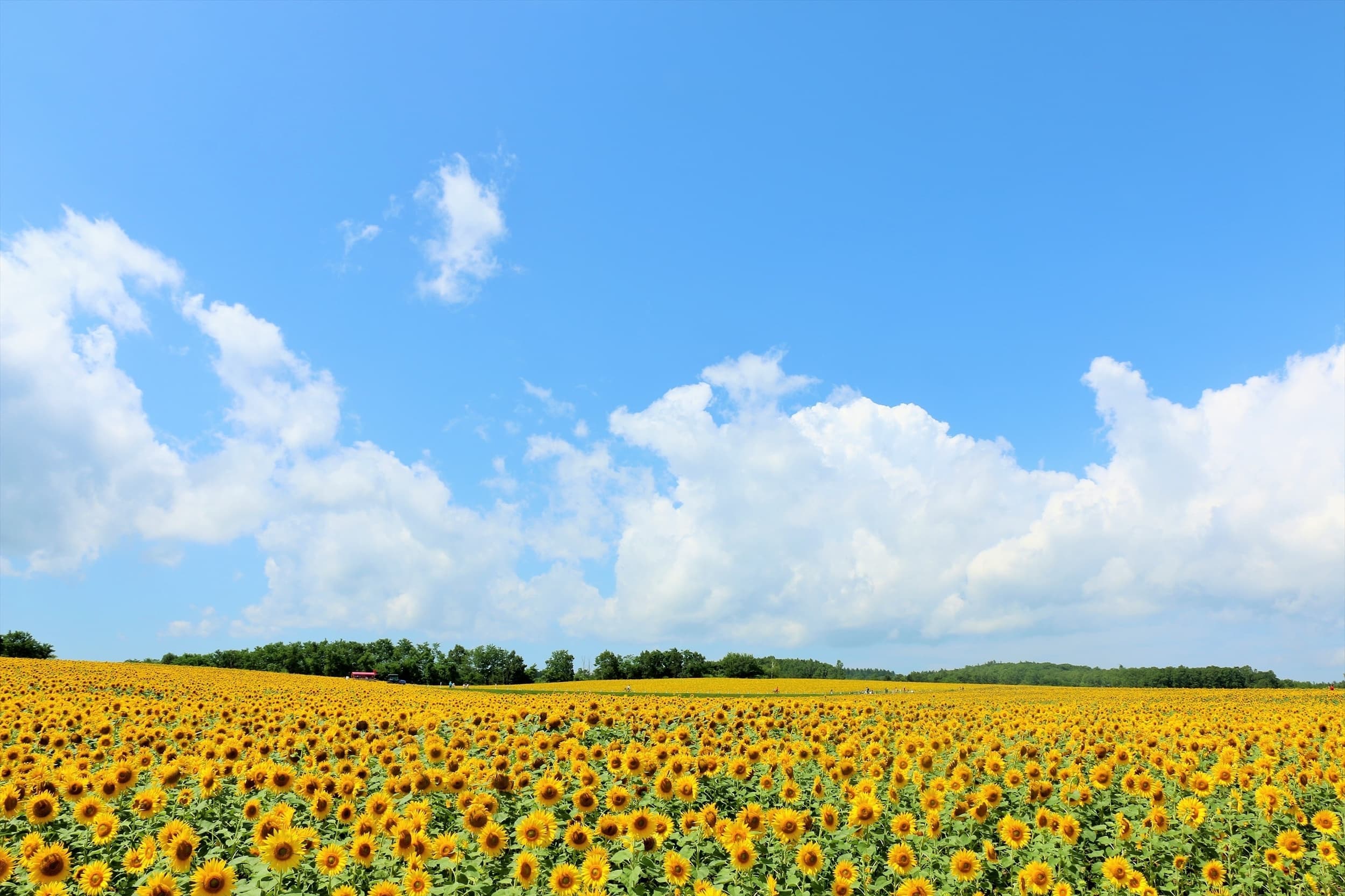 160804-115645_r.jpg